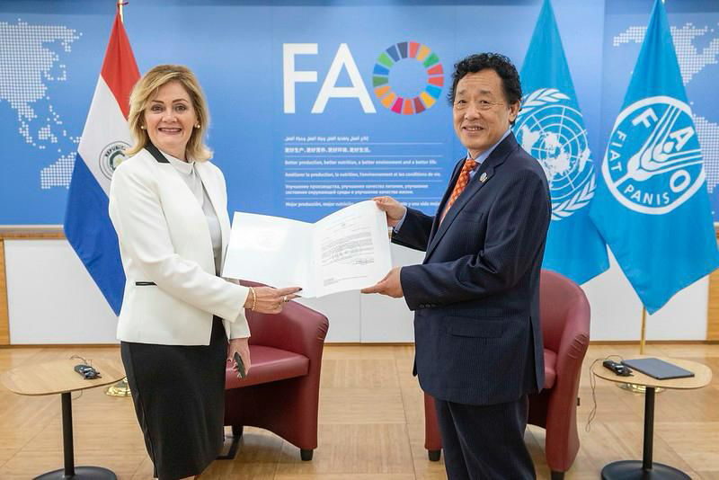 Embajadora presenta cartas credenciales a director general de la FAO