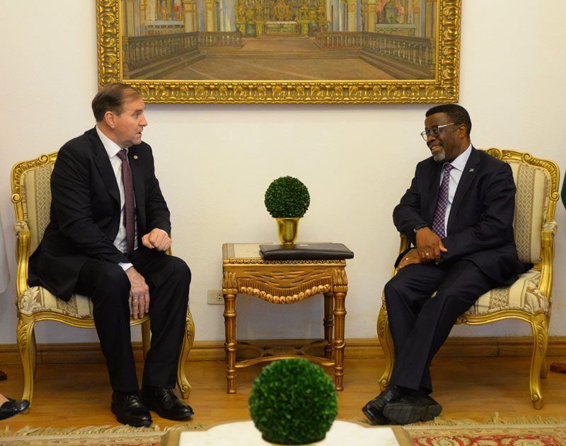 Canciller y Embajador de Namibia dialogaron sobre las relaciones bilaterales durante entrega de copias de cartas credenciales