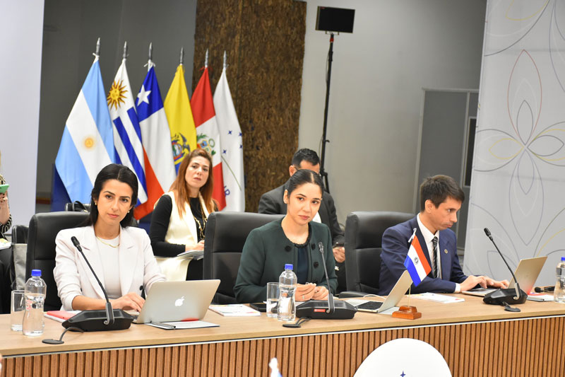 Exitosa reunión extraordinaria de la Comisión de Comercio del Mercosur