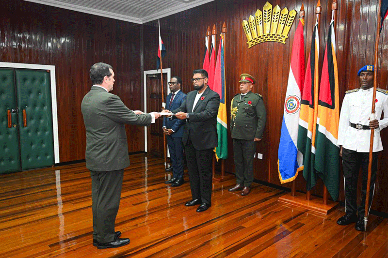 Embajador presentó cartas credenciales ante el presidente de Guyana